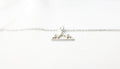 Sterling Silver Necklace – Minimalist Mountain Charm Pendant | Hiking Jewelry Gift